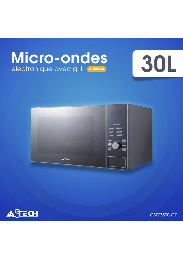 Micro Onde Electronique 30L